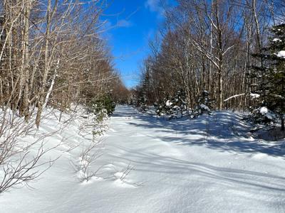 Maine Timberland Lot for Sale - image 6