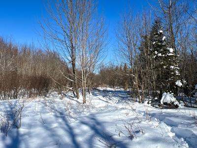 Maine Timberland Lot for Sale - image 10