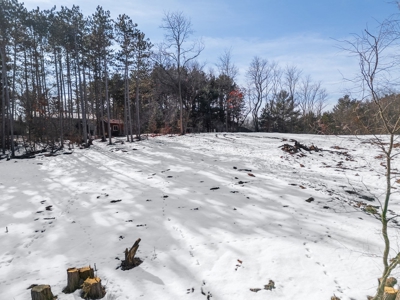 Build the home of your dreams in Sauk County WI - image 19