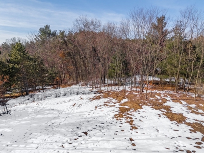 Build the home of your dreams in Sauk County WI - image 15