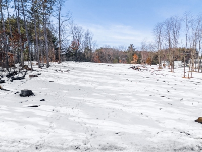 Build the home of your dreams in Sauk County WI - image 18