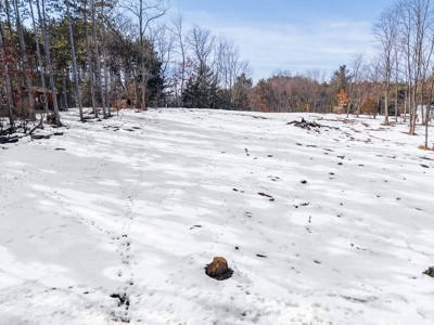 Build the home of your dreams in Sauk County WI - image 21