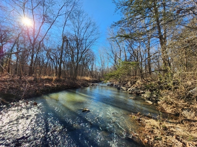 Walker Mountain Country Home on 40 Acres - image 18