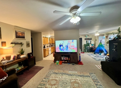 Walker Mountain Country Home on 40 Acres - image 32
