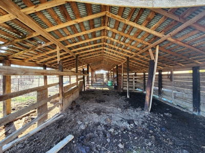 Walker Mountain Country Home on 40 Acres - image 6