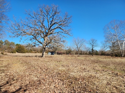 Walker Mountain Country Home on 40 Acres - image 5