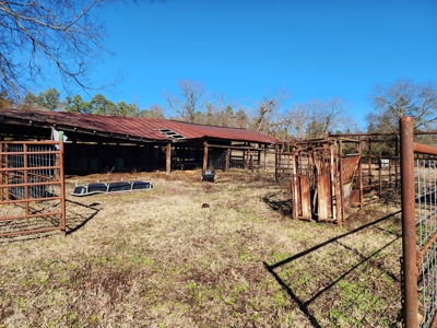 Walker Mountain Country Home on 40 Acres - image 7