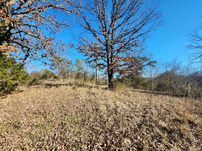 Walker Mountain Country Home on 40 Acres - image 15