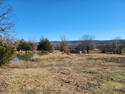Walker Mountain Country Home on 40 Acres - image 10