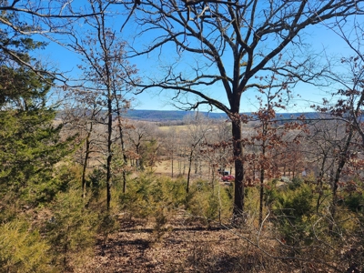 Walker Mountain Country Home on 40 Acres - image 11