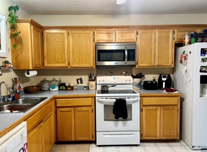 Walker Mountain Country Home on 40 Acres - image 28