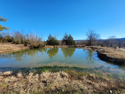 Walker Mountain Country Home on 40 Acres - image 9