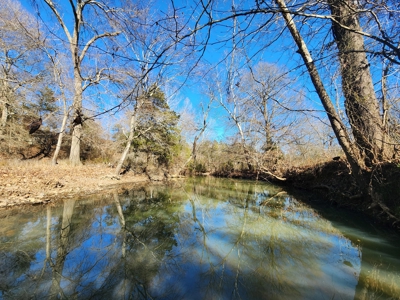 Walker Mountain Country Home on 40 Acres - image 16