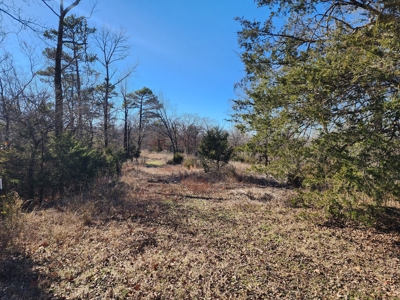 Walker Mountain Country Home on 40 Acres - image 12