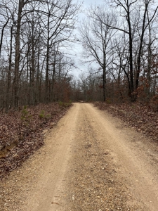 Ten Acres of Wooded Land - image 9