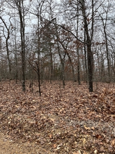 Ten Acres of Wooded Land - image 10