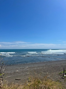 Beachfront 14.7 hectares lot in Cambutal, Los Santos - image 1