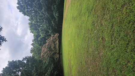 Arkansas Cabin In the woods 38 acres with lots of potential - image 47