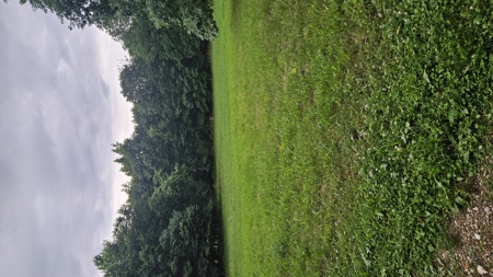 Arkansas Cabin In the woods 38 acres with lots of potential - image 49