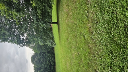 Arkansas Cabin In the woods 38 acres with lots of potential - image 50