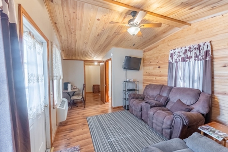 Cottage/Cabin in the Heart of the Missouri Ozarks - image 7
