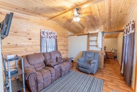Cottage/Cabin in the Heart of the Missouri Ozarks - image 8