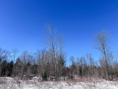 Over 1,000 Acres On A Maine Lake - image 19