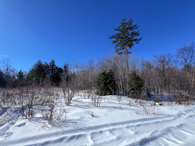 Over 1,000 Acres On A Maine Lake - image 15