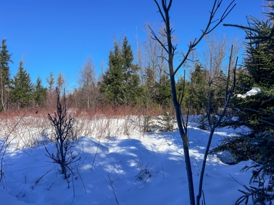 Over 1,000 Acres On A Maine Lake - image 22