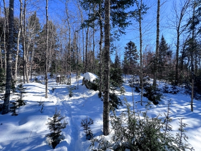 Over 1,000 Acres On A Maine Lake - image 8