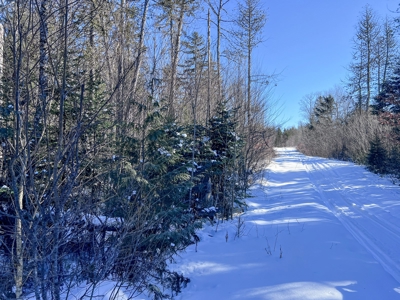 Over 1,000 Acres On A Maine Lake - image 5