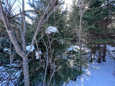 Over 1,000 Acres On A Maine Lake - image 20