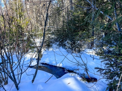 Over 1,000 Acres On A Maine Lake - image 4