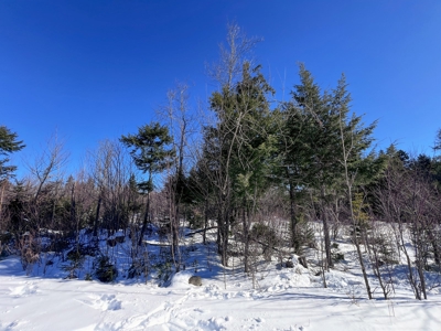 Over 1,000 Acres On A Maine Lake - image 17