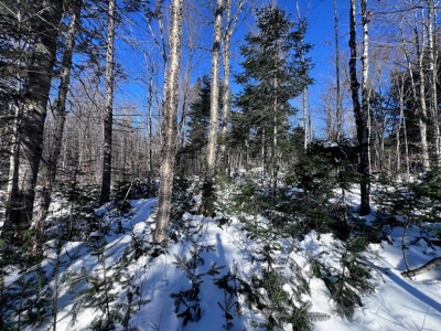 Over 1,000 Acres On A Maine Lake - image 7