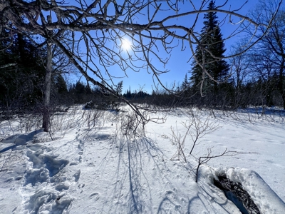 Over 1,000 Acres On A Maine Lake - image 10