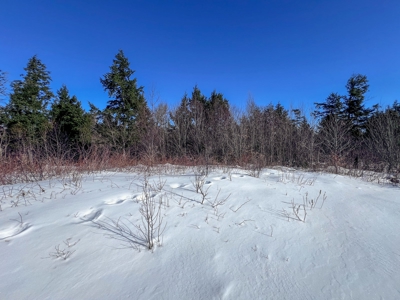 Over 1,000 Acres On A Maine Lake - image 11