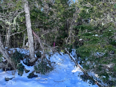 Over 1,000 Acres On A Maine Lake - image 23