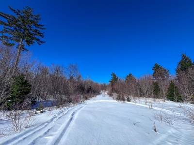 Over 1,000 Acres On A Maine Lake - image 16