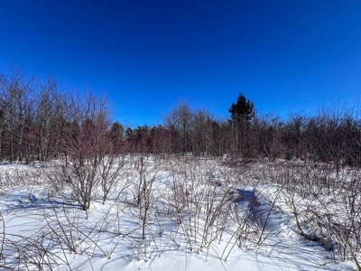 Over 1,000 Acres On A Maine Lake - image 14