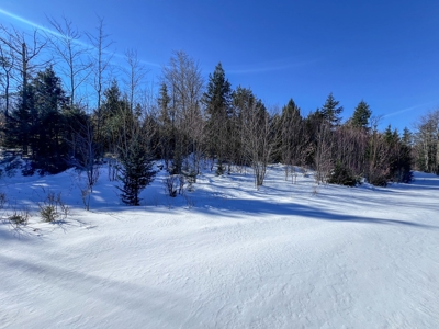 Over 1,000 Acres On A Maine Lake - image 12