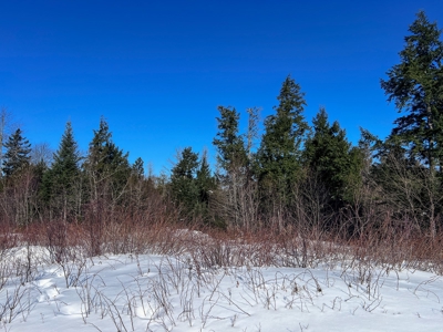 Over 1,000 Acres On A Maine Lake - image 13