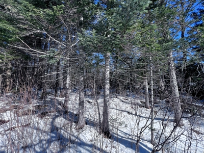 Over 1,000 Acres On A Maine Lake - image 9