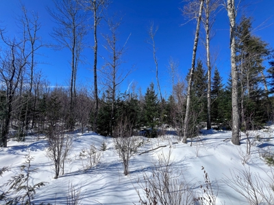 Over 1,000 Acres On A Maine Lake - image 18