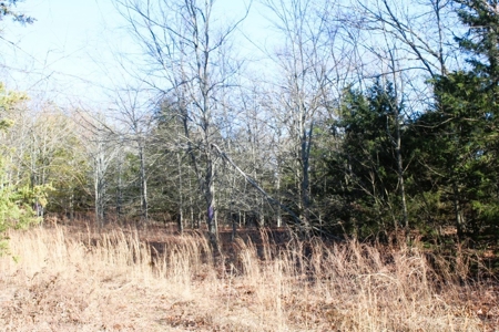 Unrestricted Acreage Near Timbo, Arkansas - image 8