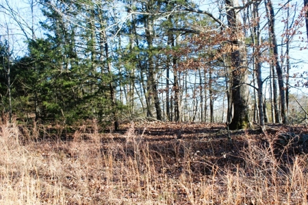 Unrestricted Acreage Near Timbo, Arkansas - image 7