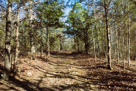 Unrestricted Acreage Near Timbo, Arkansas - image 11