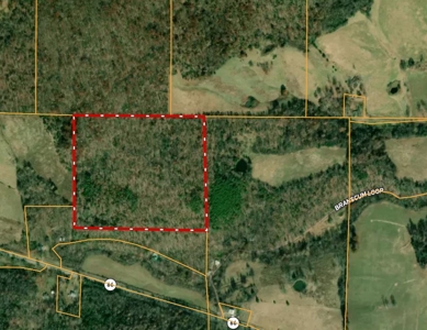 Unrestricted Acreage Near Timbo, Arkansas - image 1