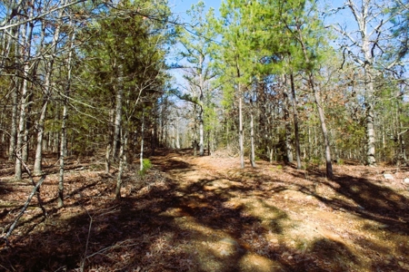 Unrestricted Acreage Near Timbo, Arkansas - image 13