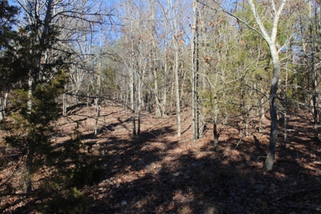 Unrestricted Acreage Near Timbo, Arkansas - image 12